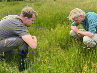 Menno Bentveld met boswachter Pieter de Leeuw op zoek naar vetblad, een zeldzame vleesetende plant.