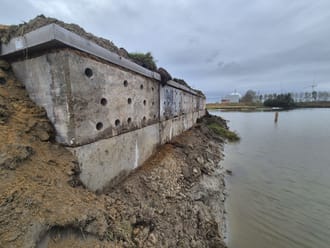 oeverzwaluwen