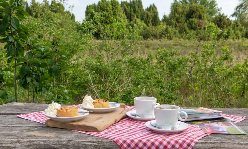 De Wakel in het Buurserzand. Terras in de natuur. De Wakel in het Buurserzand. Terras in de natuur.