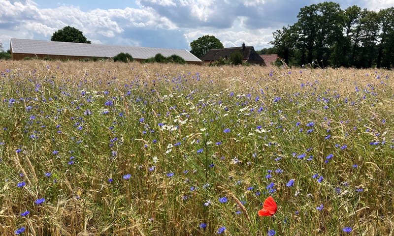 akkers Natuurboerderij Velhorst