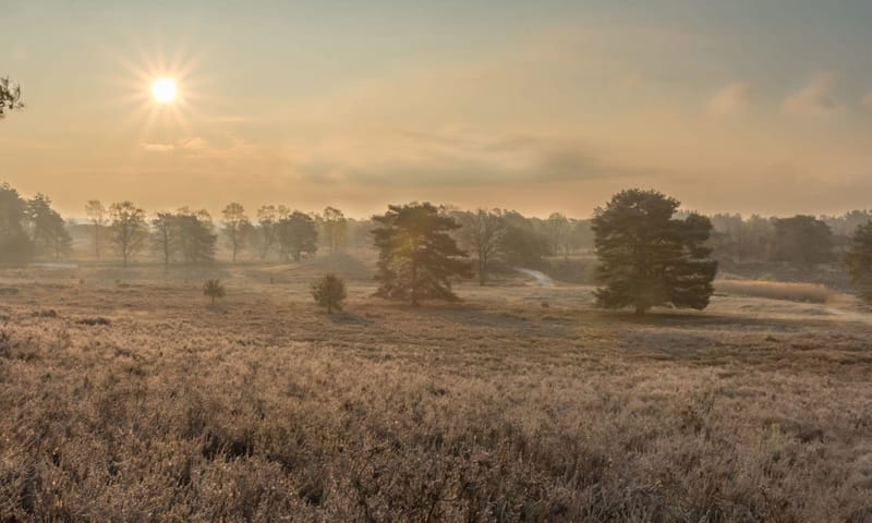 Brunssummerheide Brunssummerheide