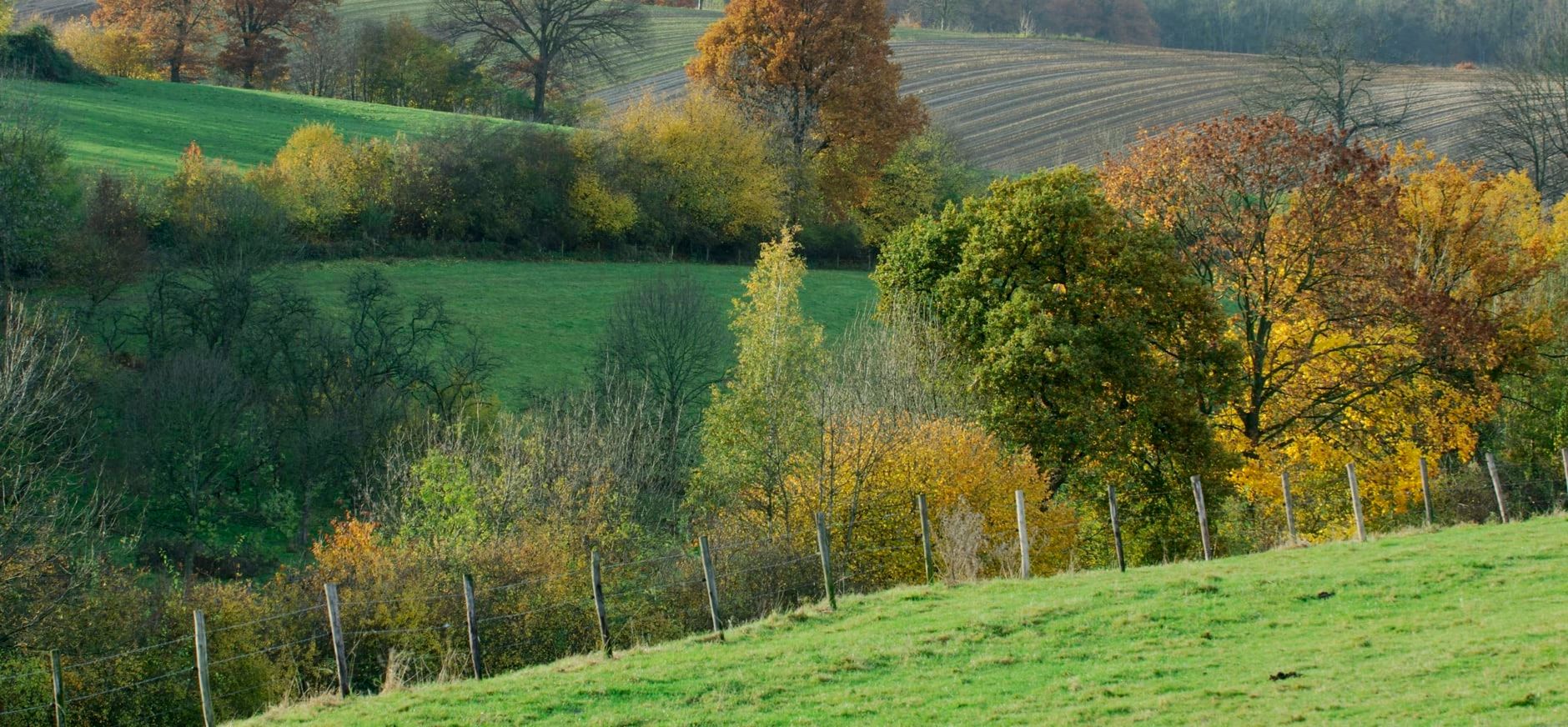 Noordal Noordal