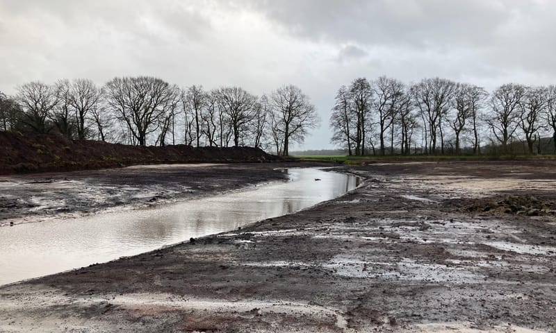 Plagwerkzaamheden Nieuw Drostendiep Nieuw Drostendiep