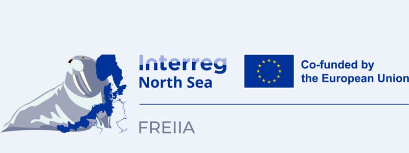 Logo Freiia Logo FREIIA
