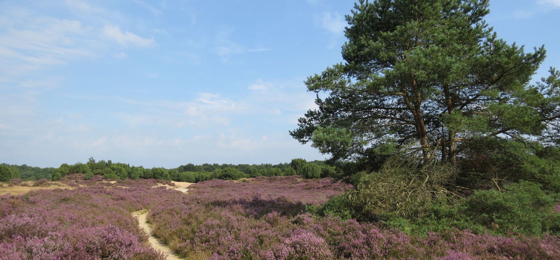 Mantingerveld Mantingerveld