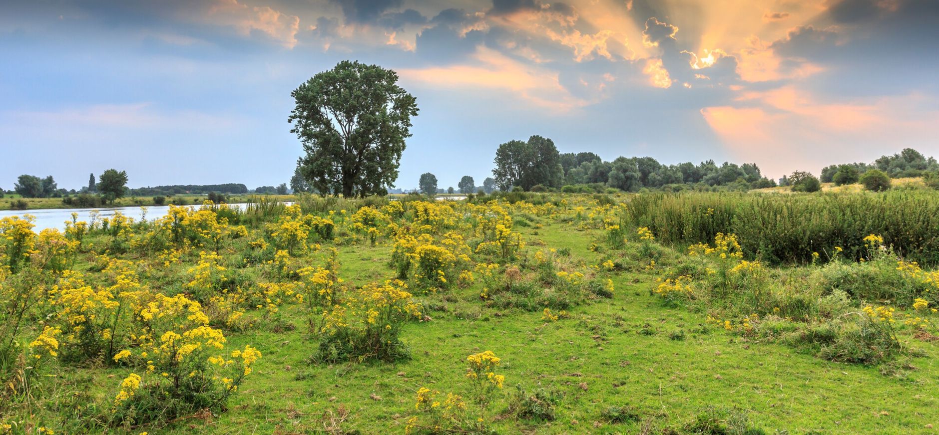 wijds landschap