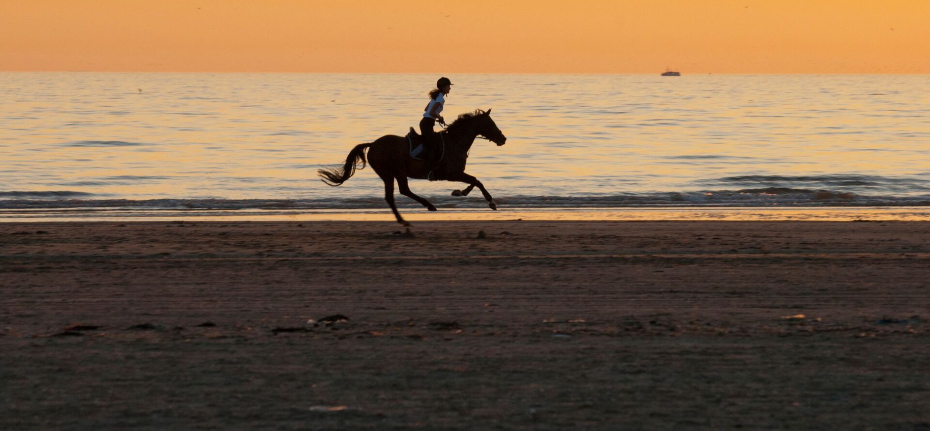Ruiter paard strand