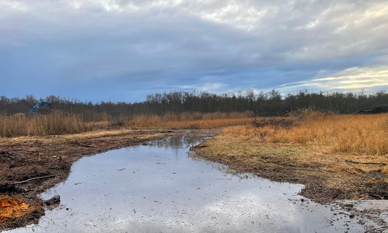 Vrijgemaakte sloot in de Ster van Loosdrecht Een sloot is vrijgemaakt van bomen en struiken