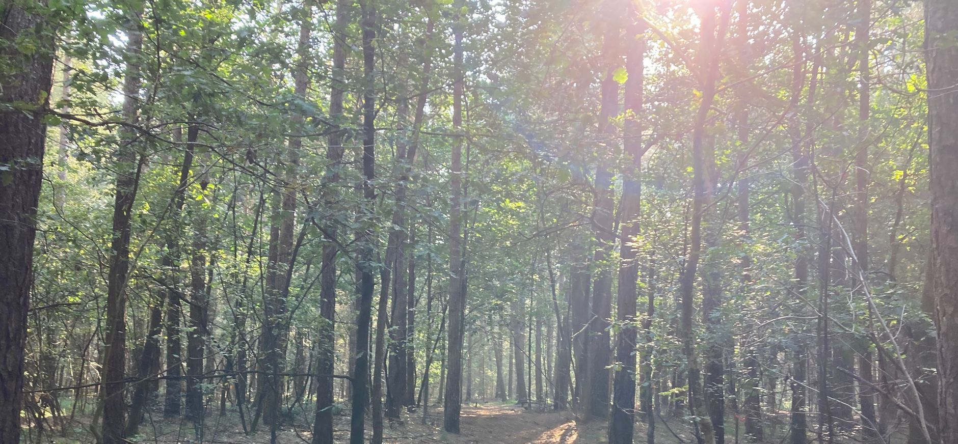 Nieuwe gronden Oosterhout Nieuwe gronden Oosterhout