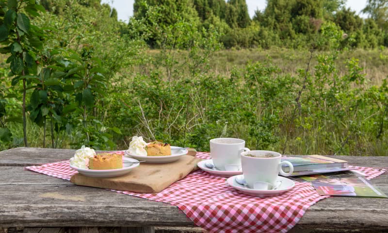 De Wakel in het Buurserzand. Terras in de natuur.