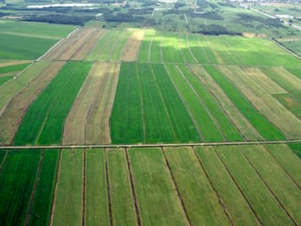 Barsbekerbinnenpolder