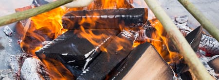 OERRR Struinen en broodje bakken met de boswachter OERRR Struinen en broodje bakken