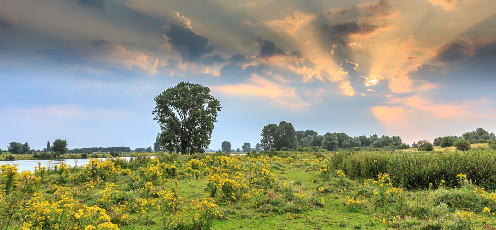 wijds landschap