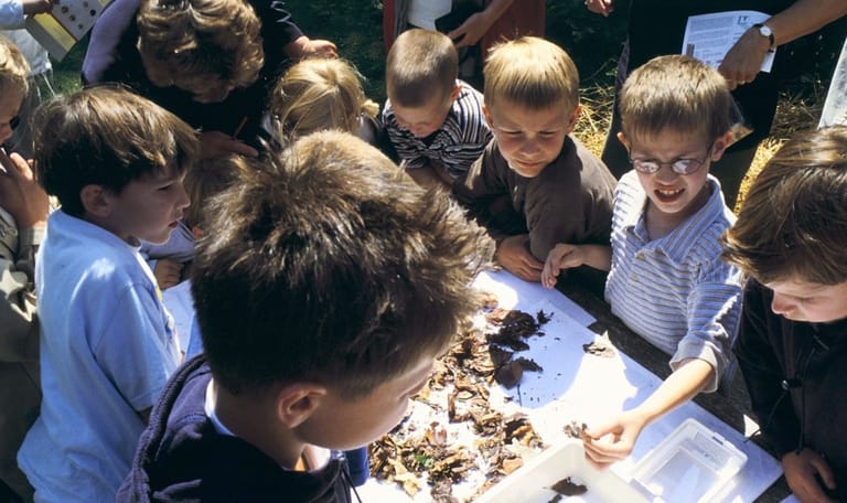 Braakballen Braakpallen pluizen