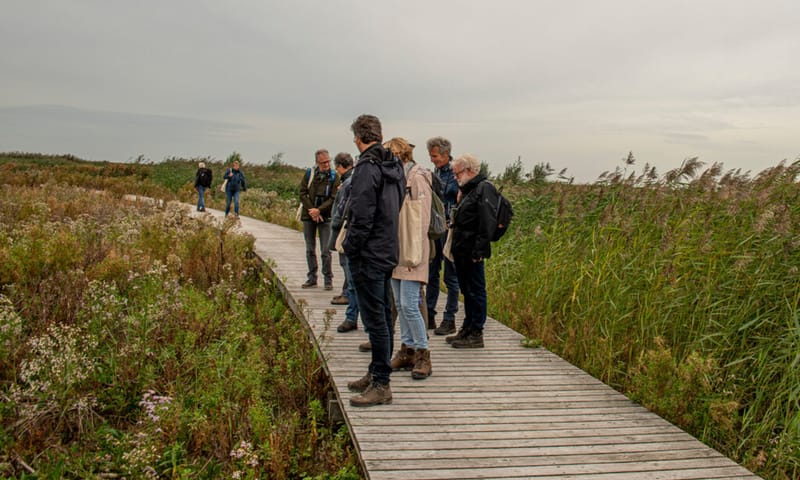 Excursie Marker Wadden