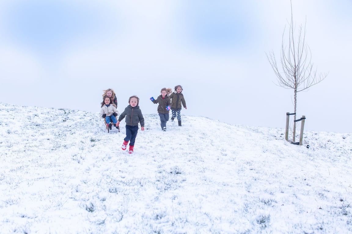 Twinkelend Winterfeest Dwingelderveld