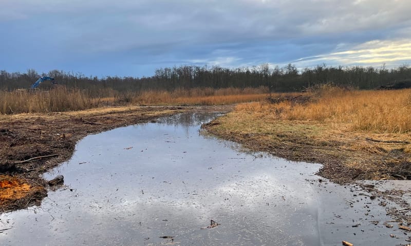 Een sloot is vrijgemaakt van bomen en struiken