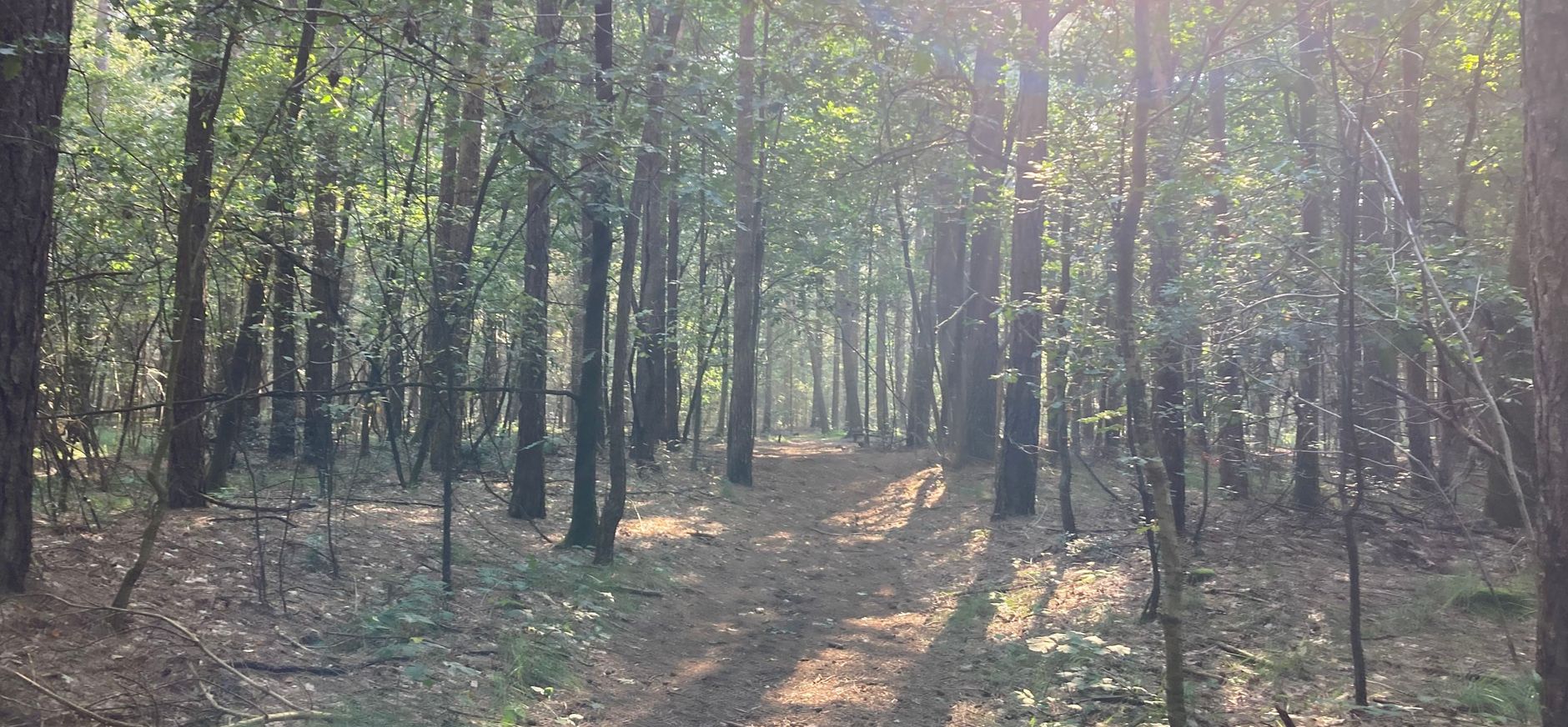 Nieuwe gronden Oosterhout