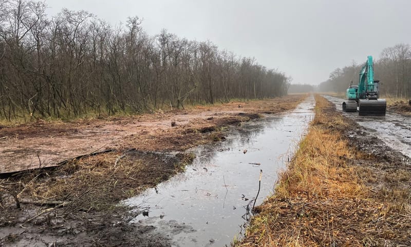 Vrijgemaakte sloot in de Ster van Loosdrecht