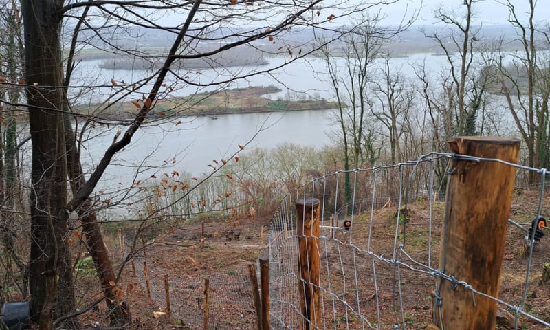 raster om vlinderverbinding