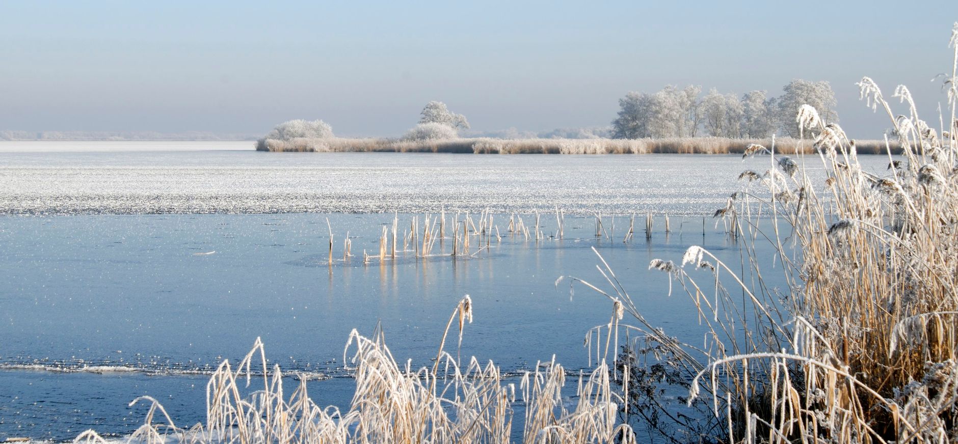 Winterlandschap in De Wieden Winters landschap in Natuurgebied De Wieden
