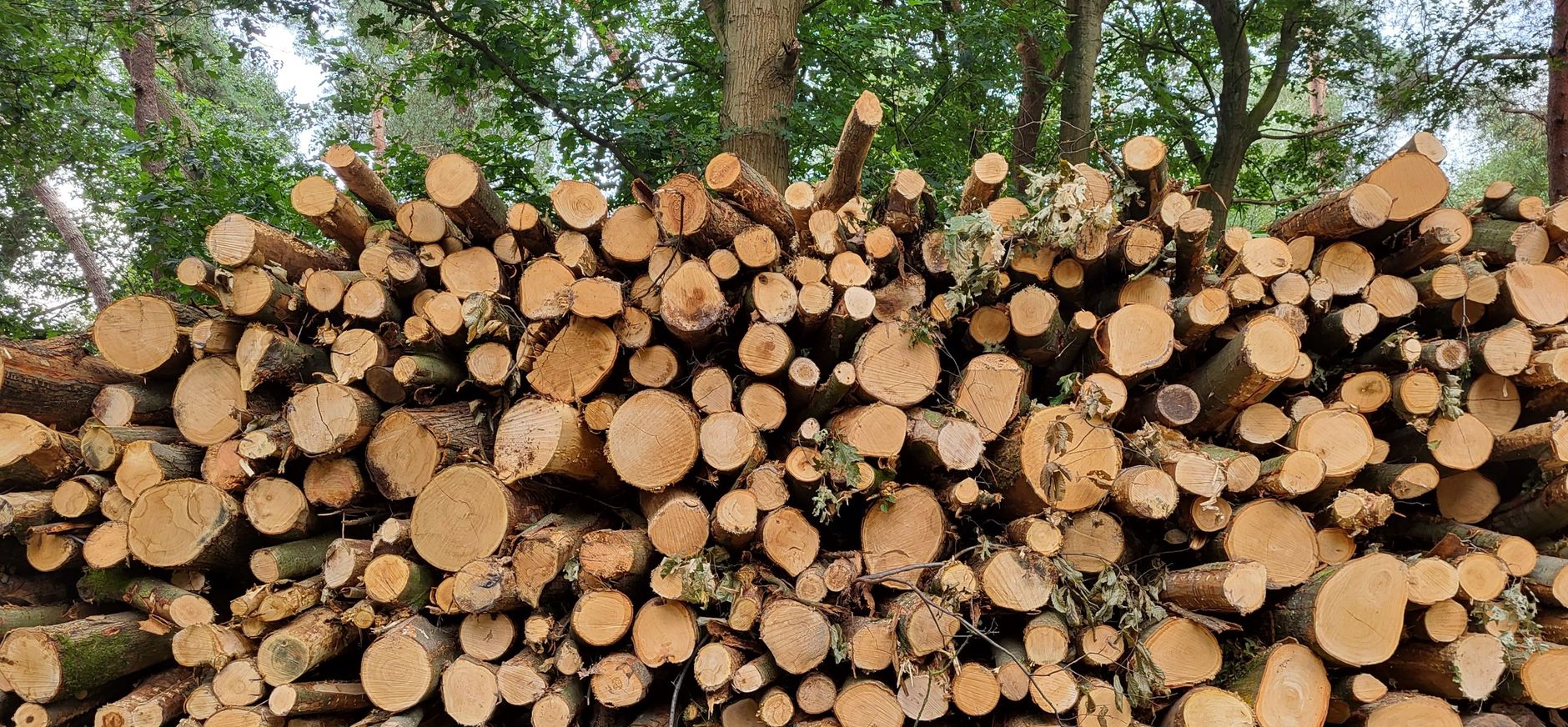 rolstapels hout rolstapels hout