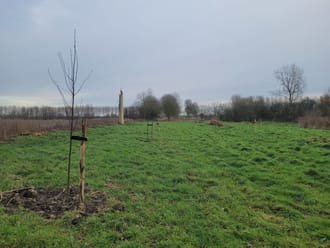 bomen
