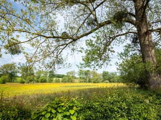 Natuur Geuldal bij Cottessen