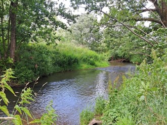 Geuldal