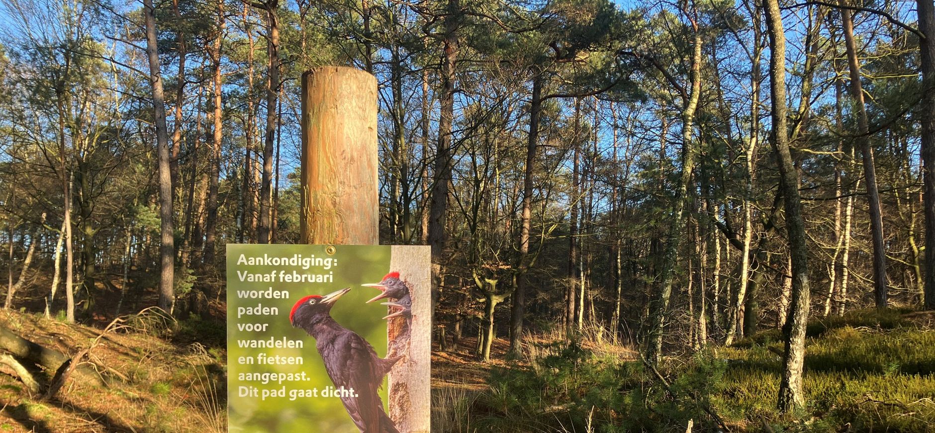 Borden in de Leuvenumse Bossen kondigen de wijzigingen aan Borden in de Leuvenumse Bossen kondigen de wijzigingen aan