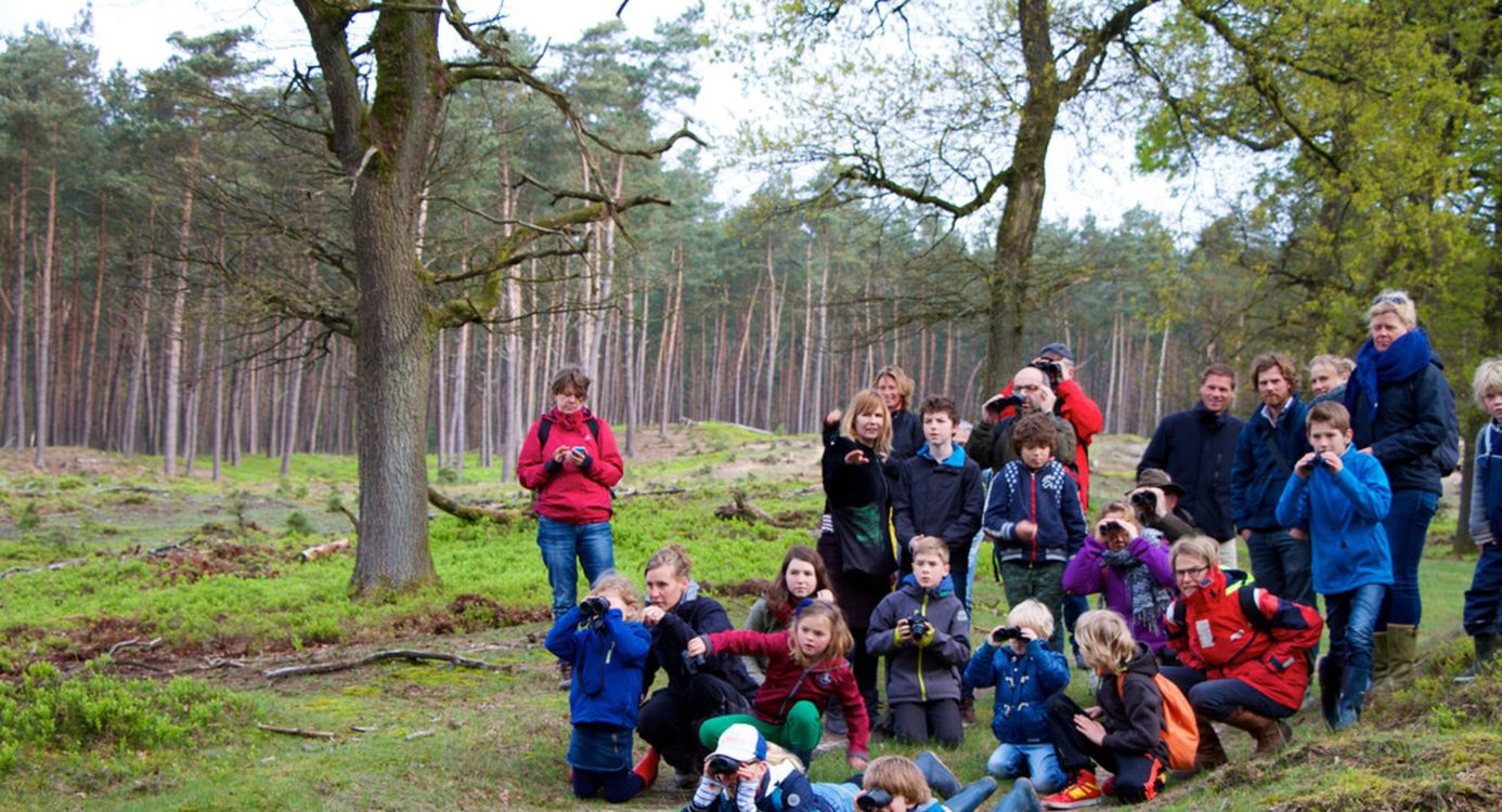 Excursie op de Veluwe