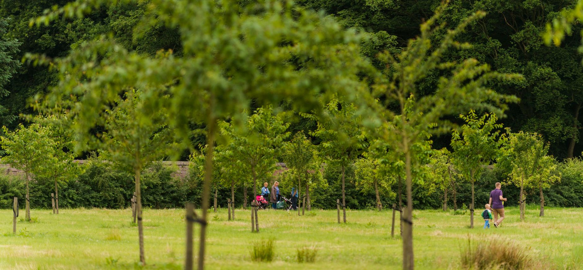 Foto Boomgaard de Boswachter