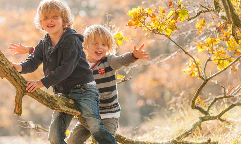 Kinderen in het bos