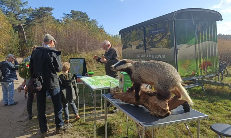 Bedrijvigheid bij de Stuif es in kar in de Loonse en Drunense Duinen Bedrijvigheid bij de Stuif es in kar in de Loonse en Drunense Duinen