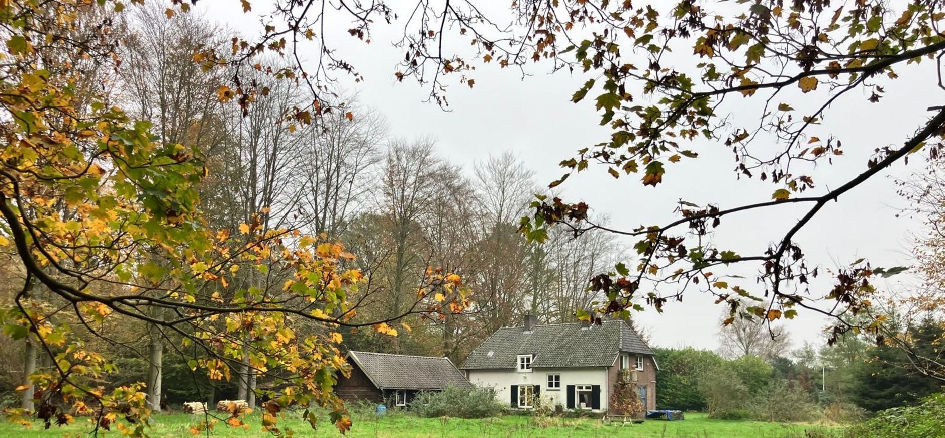 Landgoed De Wielewaal Landgoed De Wielewaal
