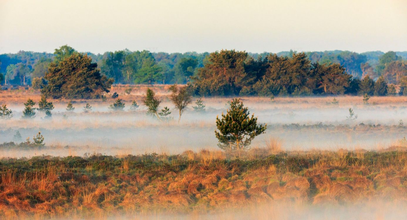 Zandbergse vennen in de ochtend Zandbergse vennen