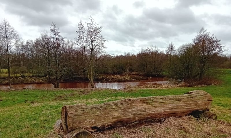 Natuur rond de Ruiten Aa Natuur rond de Ruiten Aa