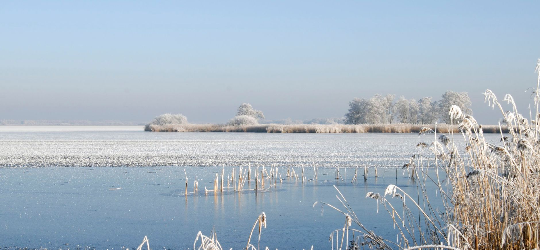 Winters landschap in Natuurgebied De Wieden