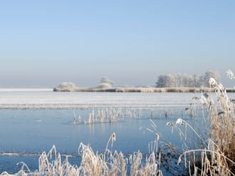 Winters landschap in Natuurgebied De Wieden