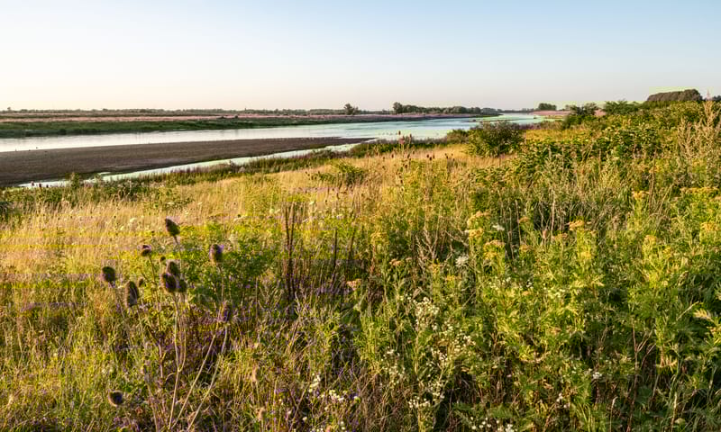 Grindeilandjes en nieuwe natuur langs de Maas bij Grevenbicht.