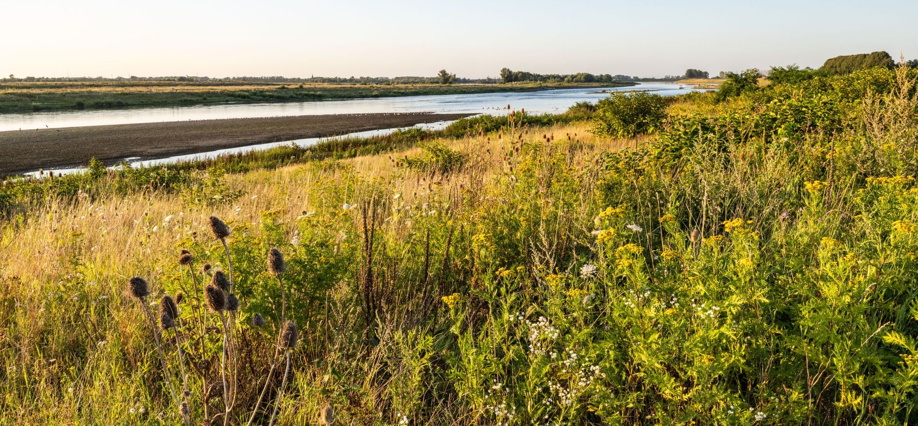 Grensmaas bij Grevenbicht
