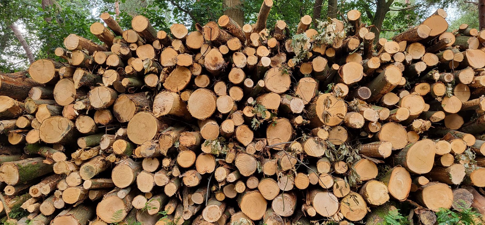 rolstapels hout rolstapels hout