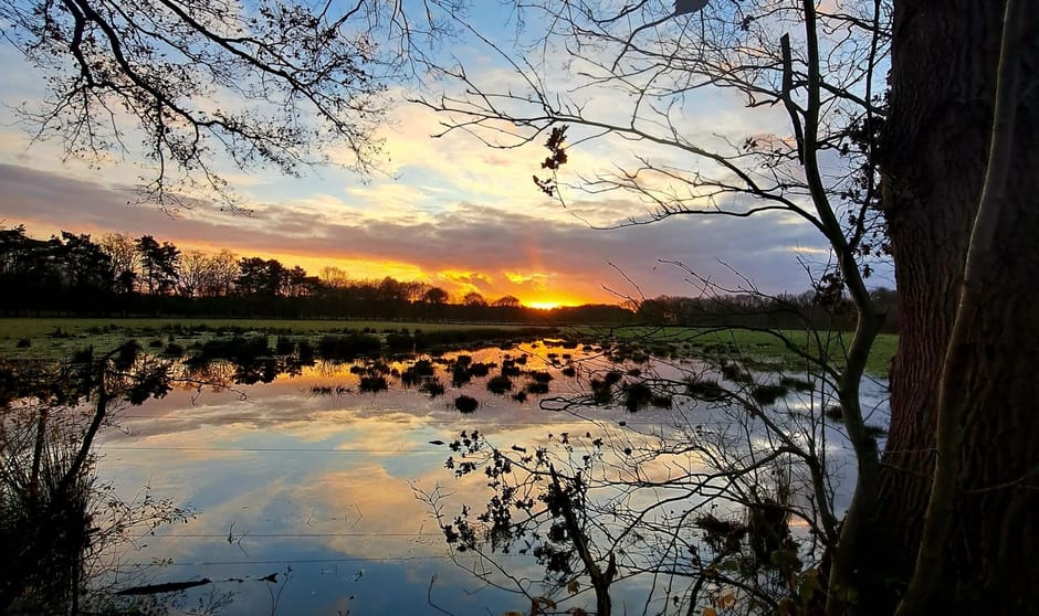 Winnaar publieksprijs december