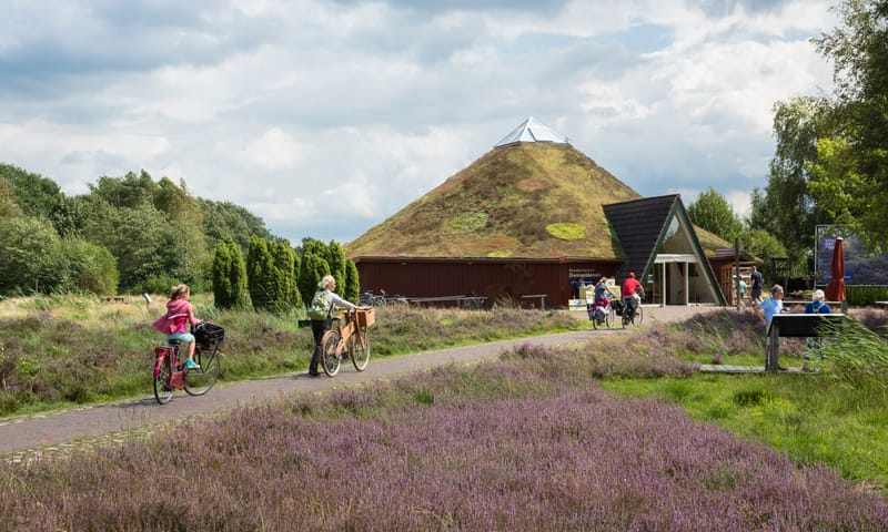 Bezoekerscentrum Dwingelderveld, entree Bezoekerscentrum Dwingelderveld in de zomerperiode