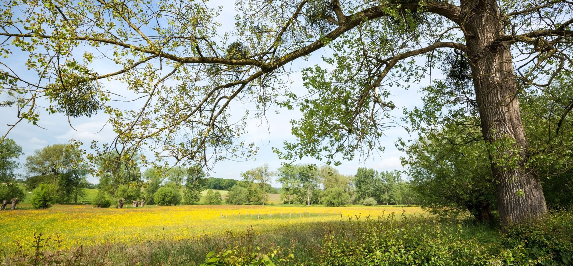 Natuur Geuldal bij Cottessen