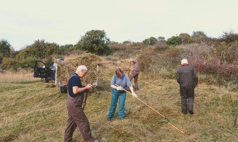Aan het werk met de terreinvrijwilligers