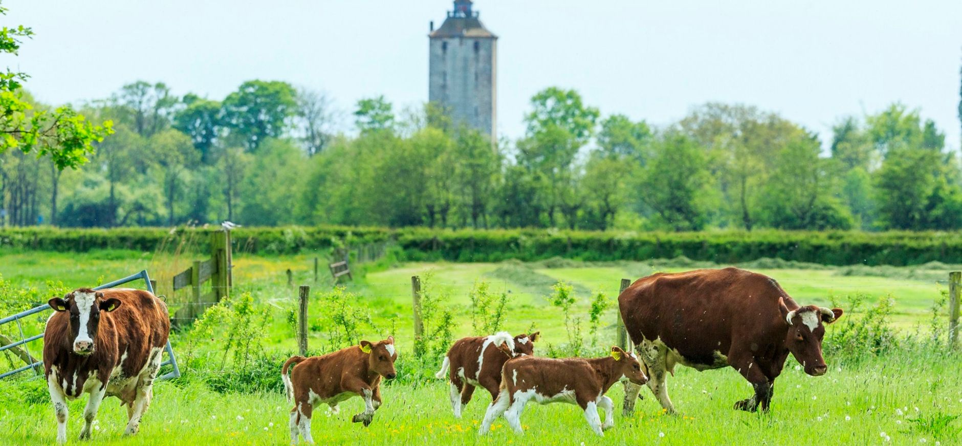 Landschap Haarzuilens