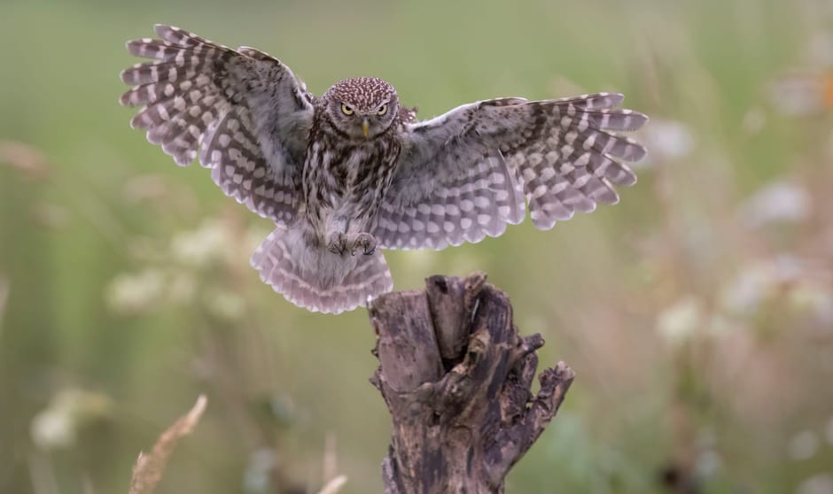 Winnaar juryprijs december