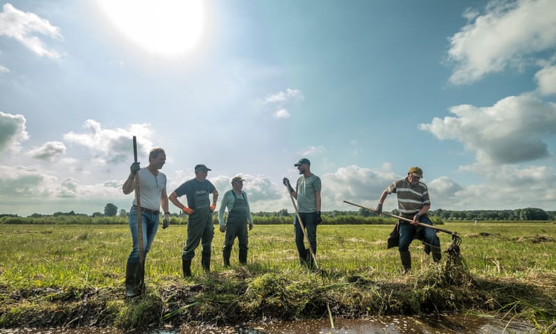 Hooien Noordrand Rotterdam