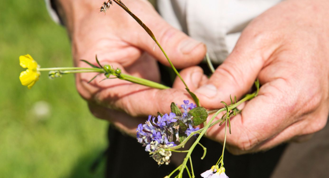 Boswachter bloemen